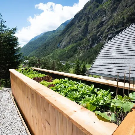 House Dormica Apartament *