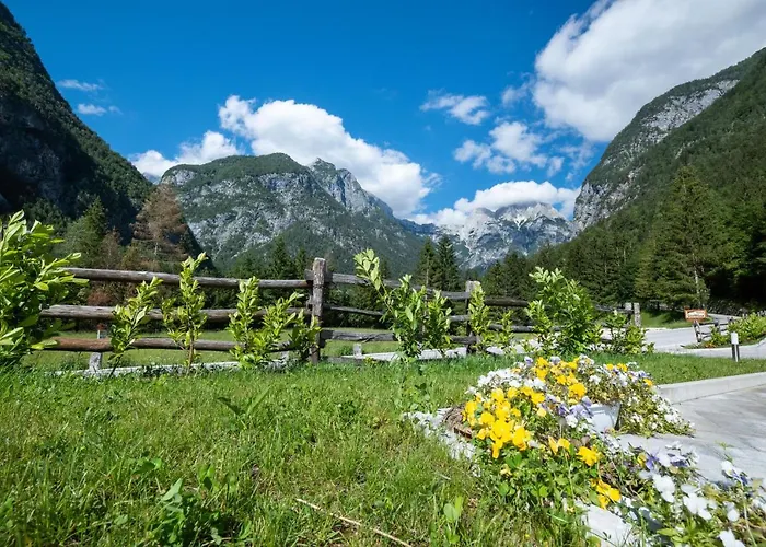 Apartmán House Dormica *